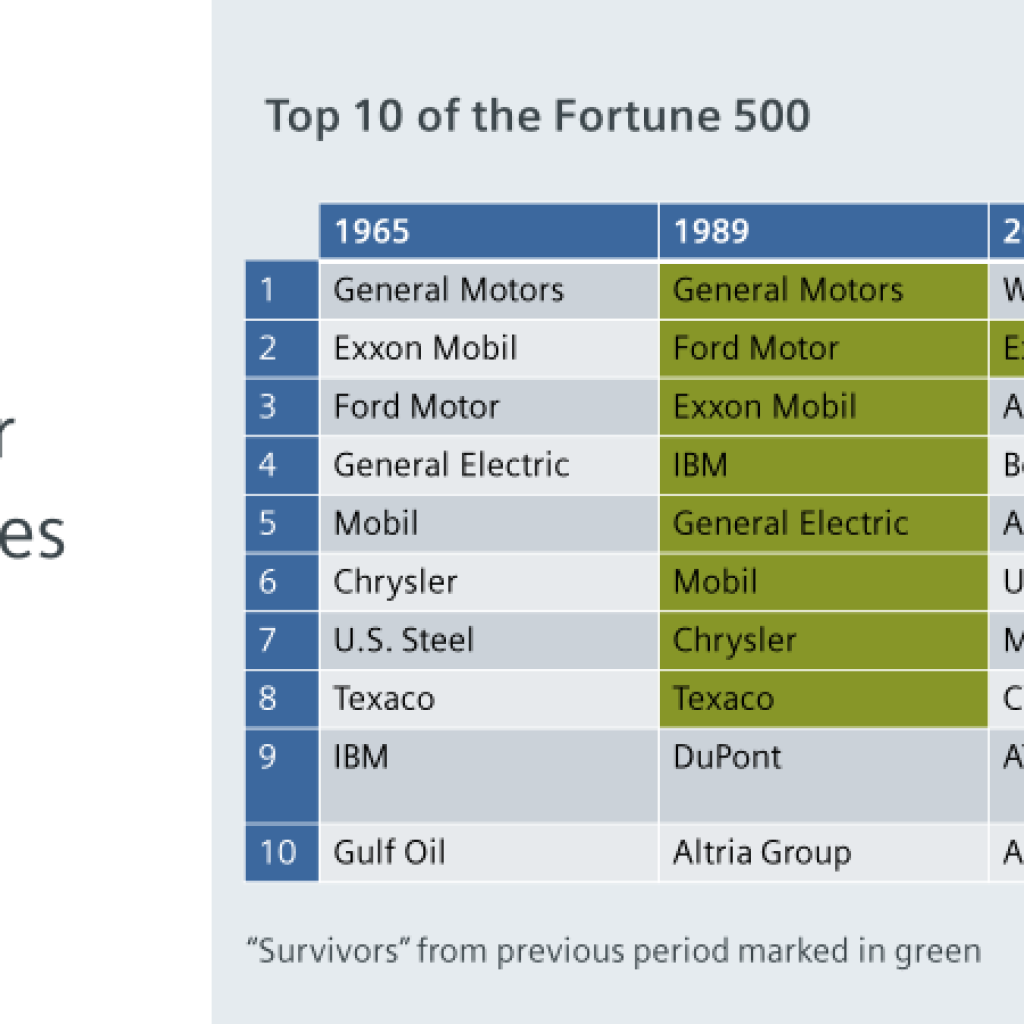 Top 10 of Fortune 500